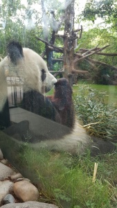 ZOO3